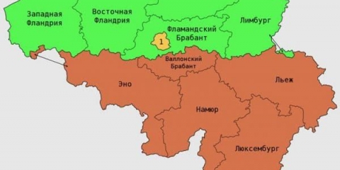 Flandrija (flander) i kunić rase belgijski div